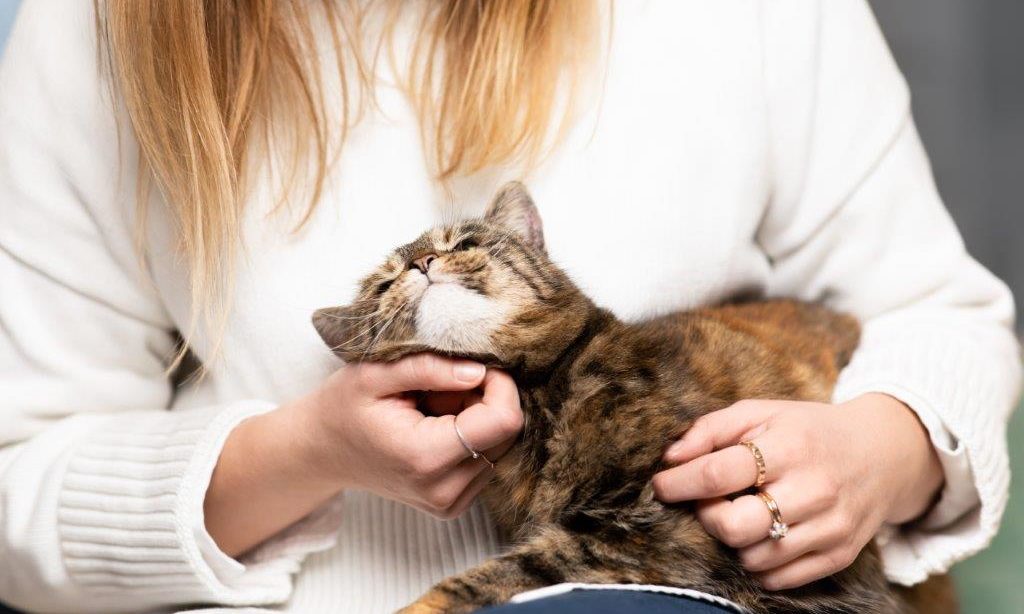 Purina donates one million pet food pouches to Community Shop