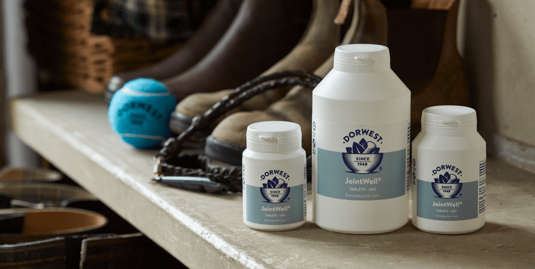 Dorwest relaunches joint supplement as Jointwell