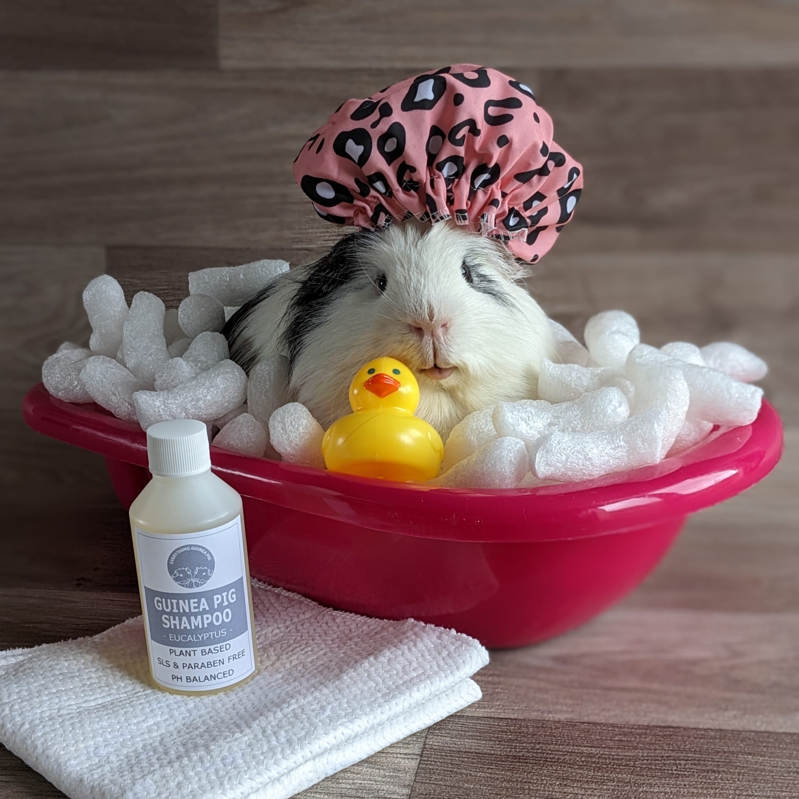 Everything Guinea Pigs launches new guinea pig shampoo Post
