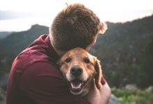 Pets4Homes acquires Breedera to support responsible breeders