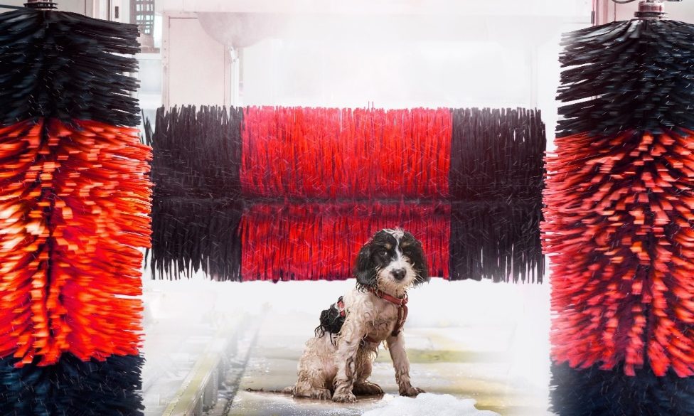 New Jollyes Scunthorpe to include Jolly Groomer