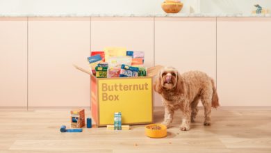 Butternut Box Latest News Pet Gazette