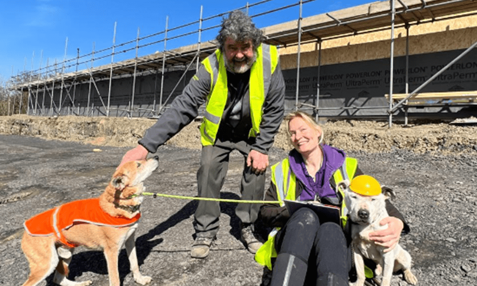 Dogs4Rescue to build second site
