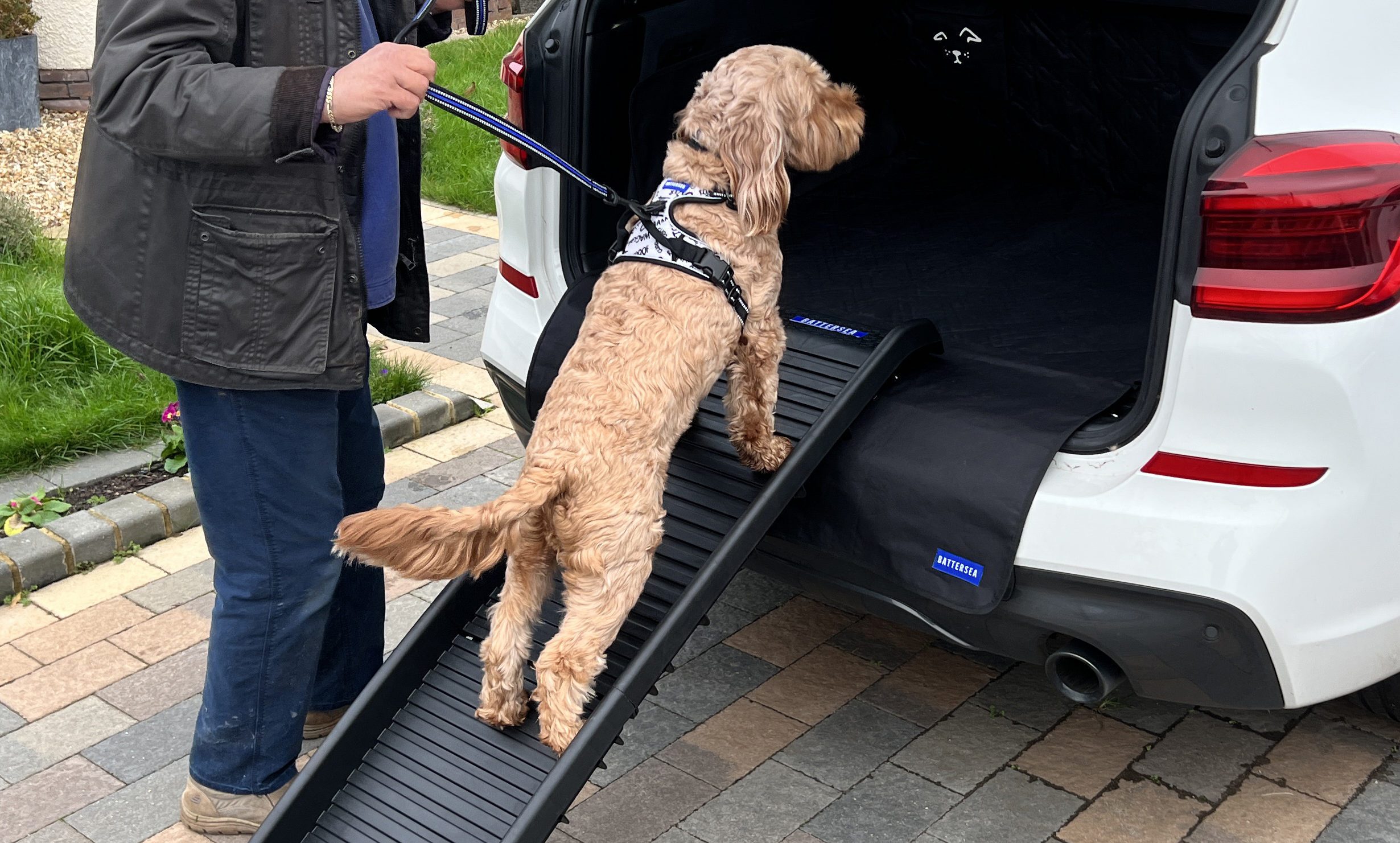 Battersea partners with Saxon to launch Battersea pet travel range