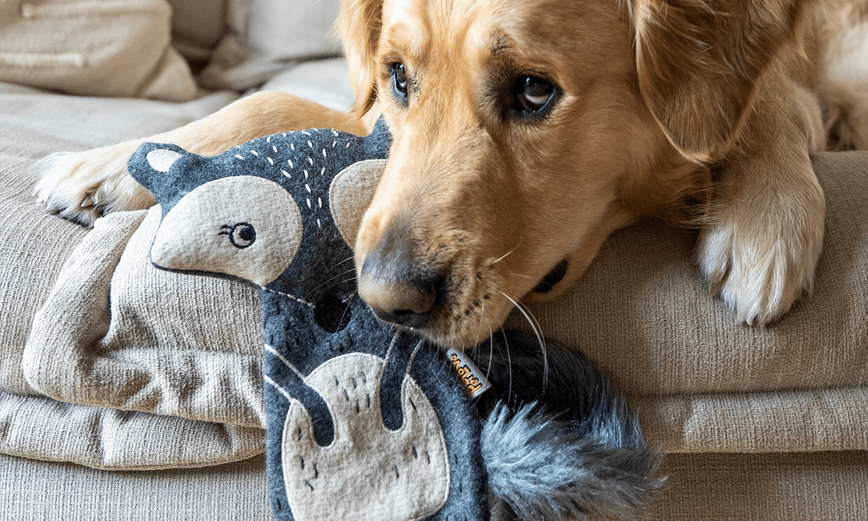 Pet Love unveils Wonky Woolies