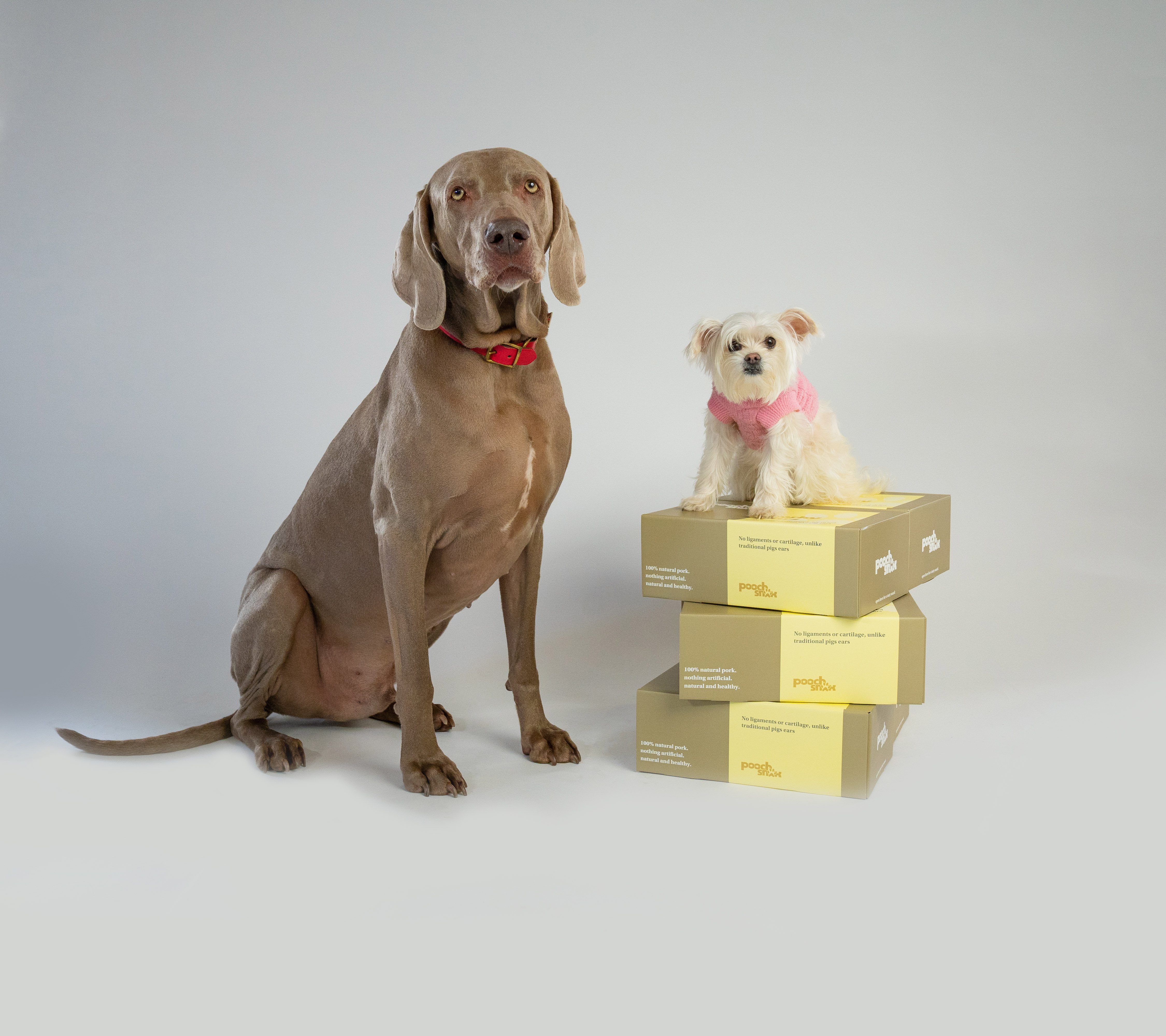 Pooch Snax launches to the pet trade