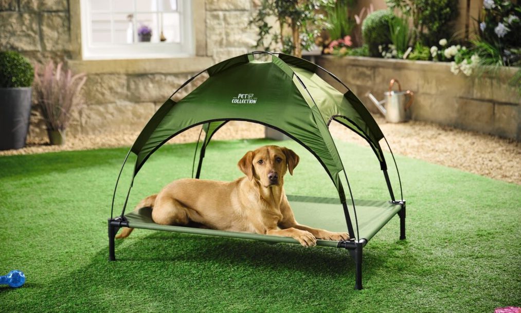 Aldi launches new Keep Your Pet Cool range Post