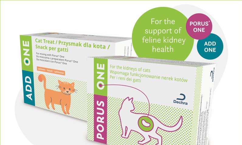 Dechra takes on distribution of feline kidney supplements