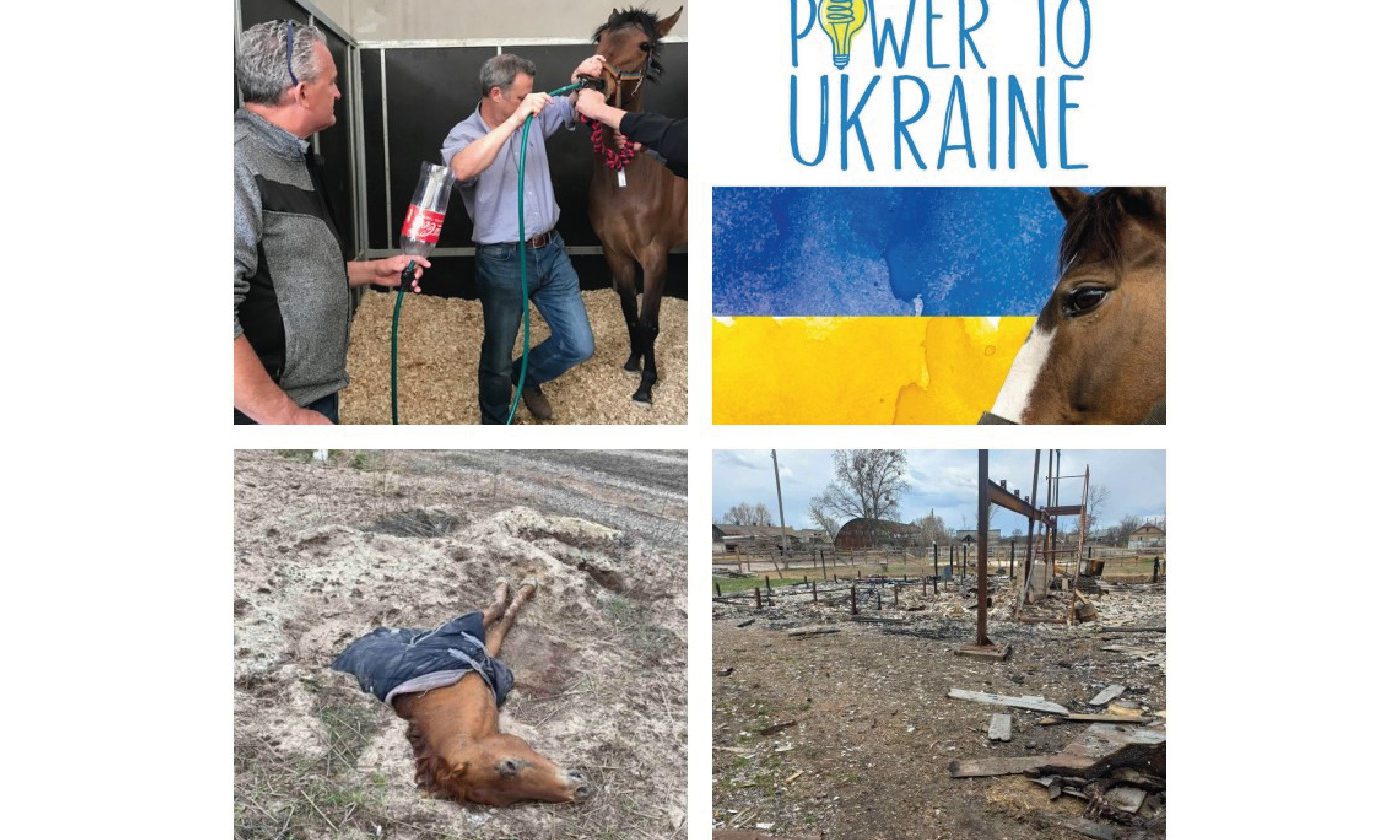 BEVA offers free membership for Ukrainian vets