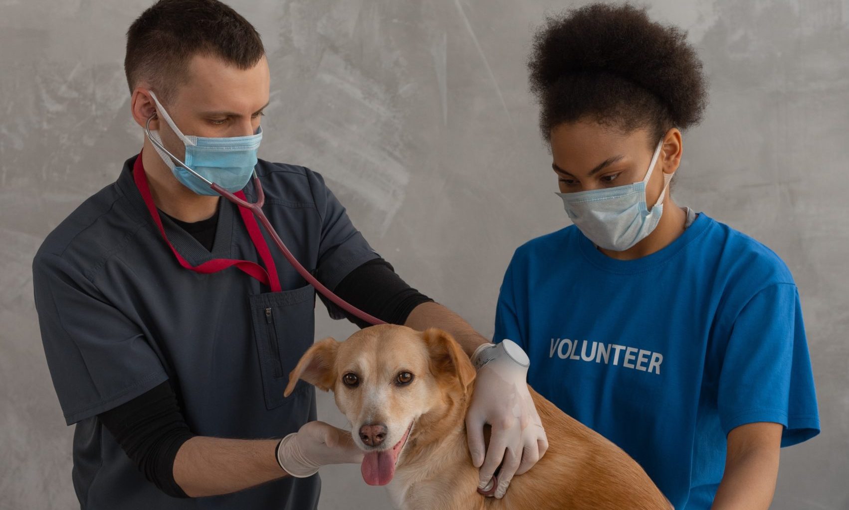 CVS revenues jump 7.3% in FY23