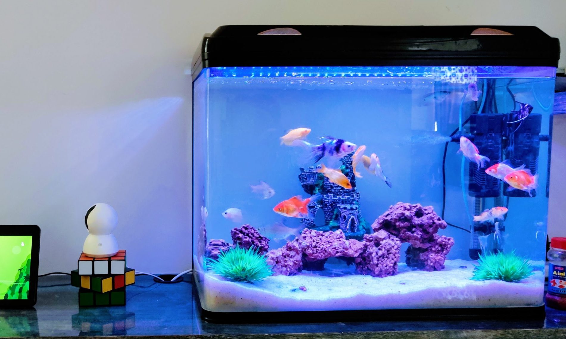 OATA and NCRW to offer training scheme in inspection