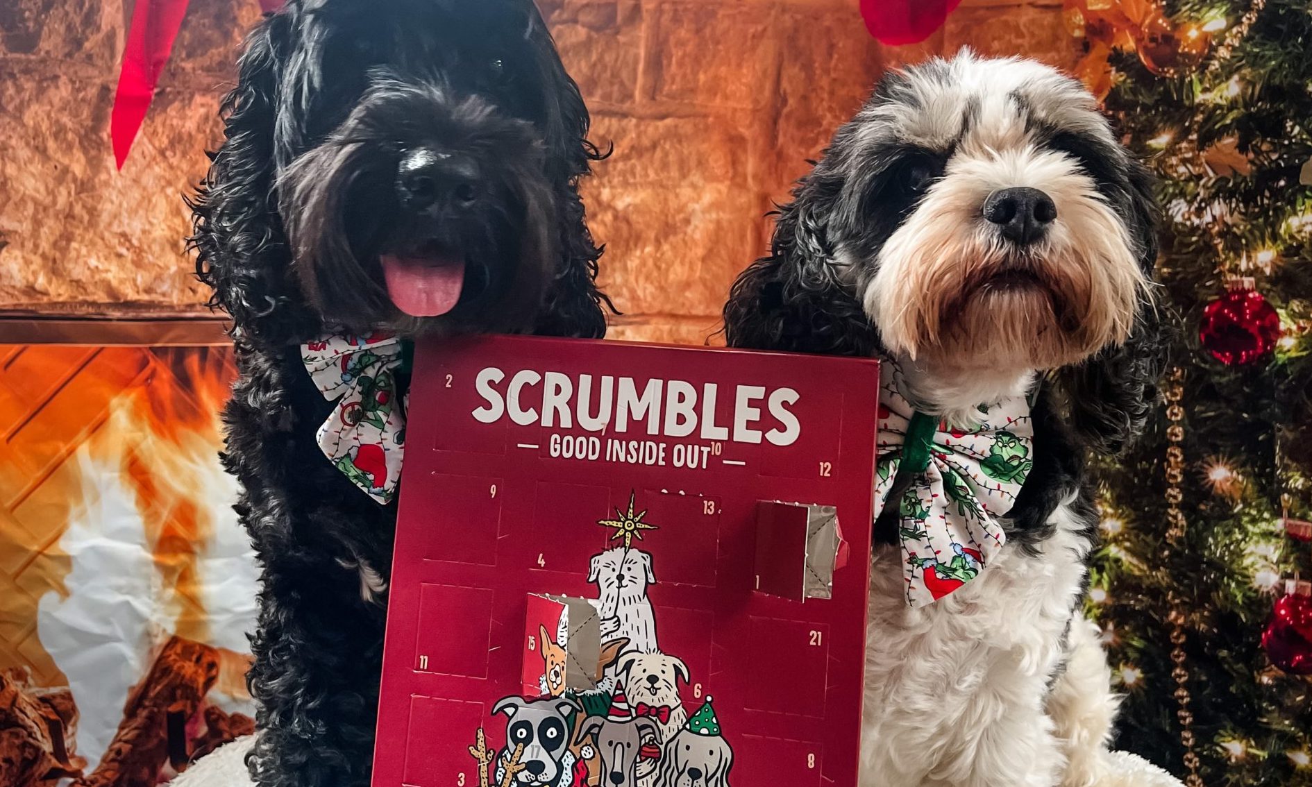 scrumbles-launches-new-advent-calendars-for-cats-and-dogs-post