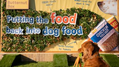 Butternut Box launches campaign to ‘put food back into dog food’