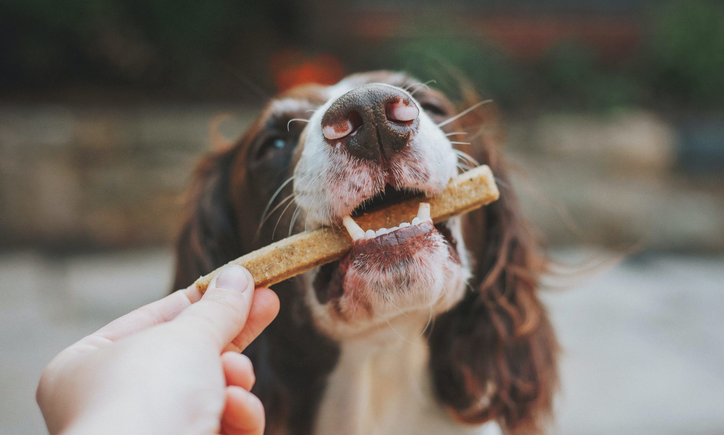 ADM launches into European market with seven product formulas