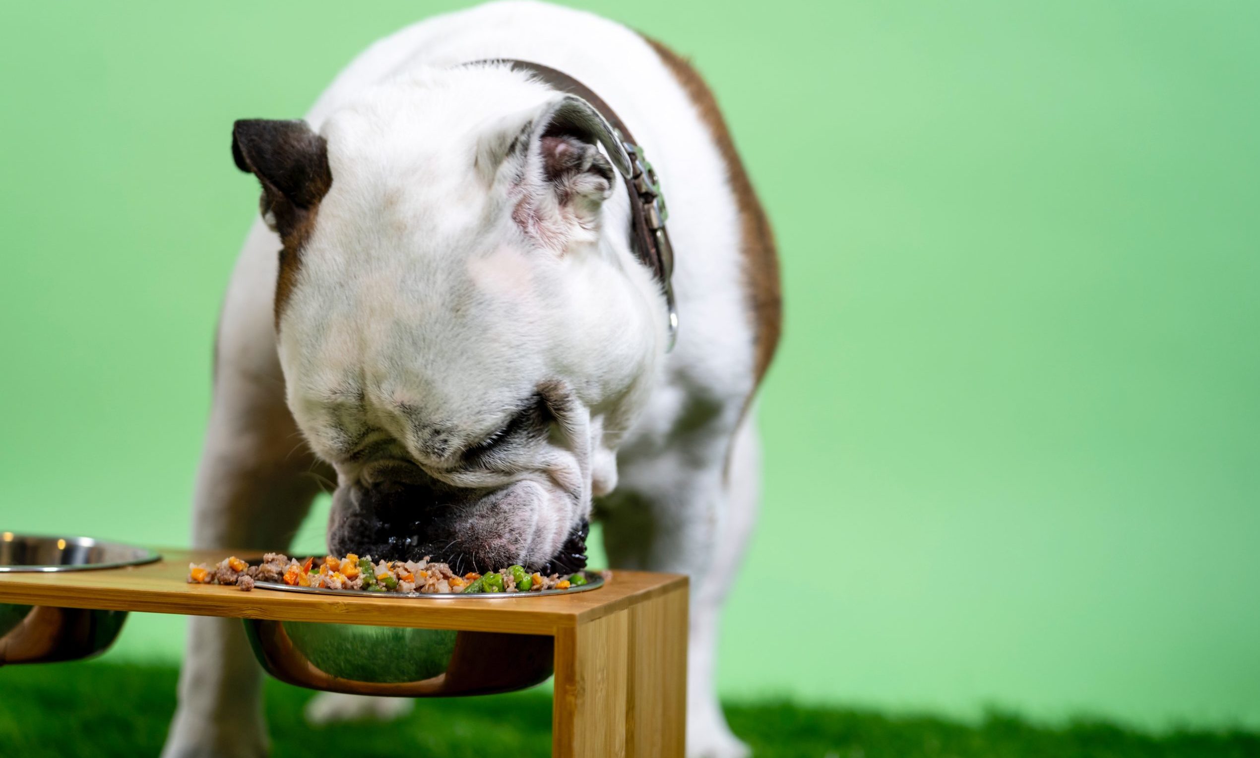 Assisi Petcare acquires Yakers