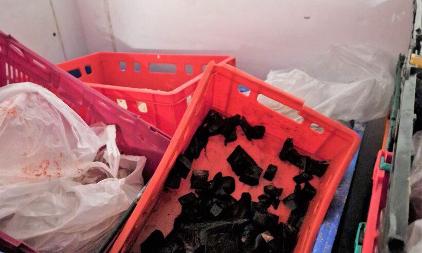 Happy Hounds director prosecuted for supplying unsafe pet food