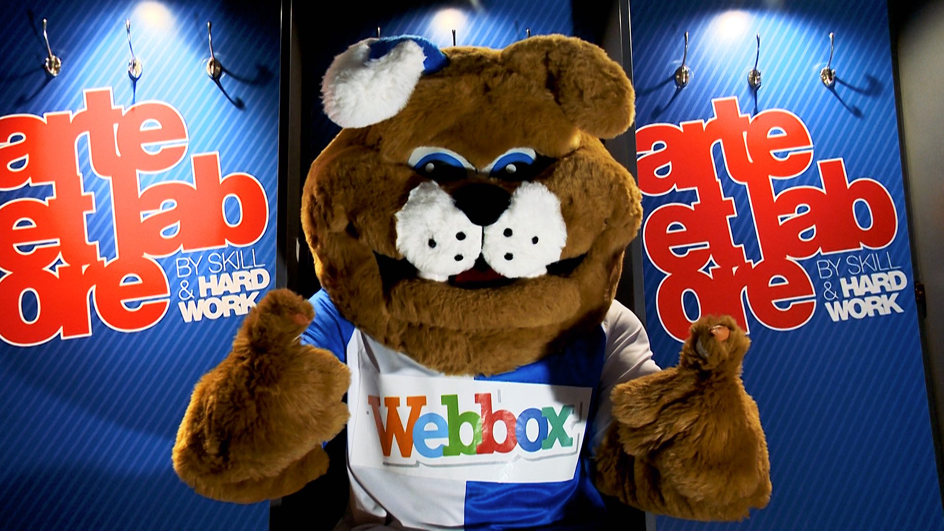 Webbox named official pet sponsor of Blackburn Rovers