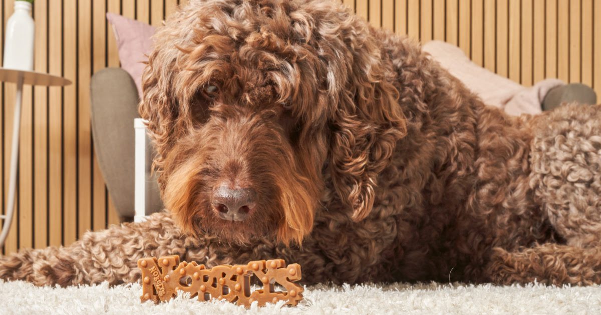 Pedigree Wholesale launches Nobblys by Petello