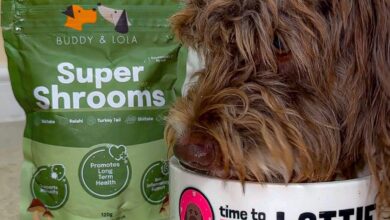 Buddy and Lola launches new Super Shrooms meal topper