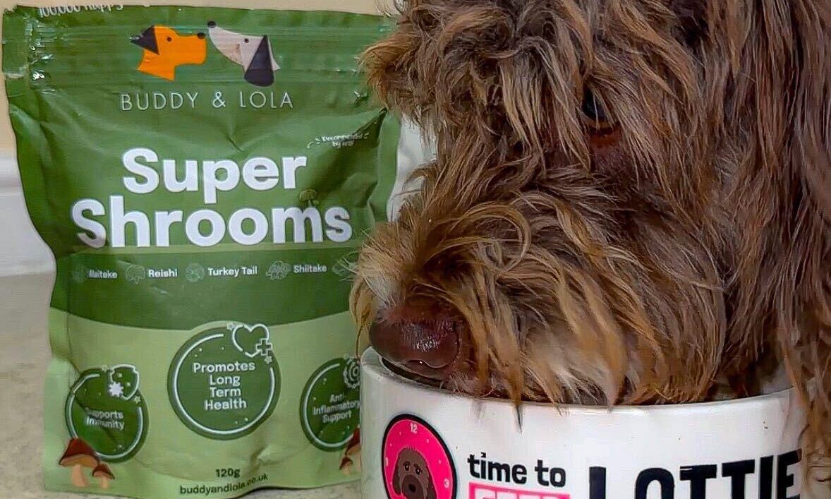 Buddy and Lola launches new Super Shrooms meal topper