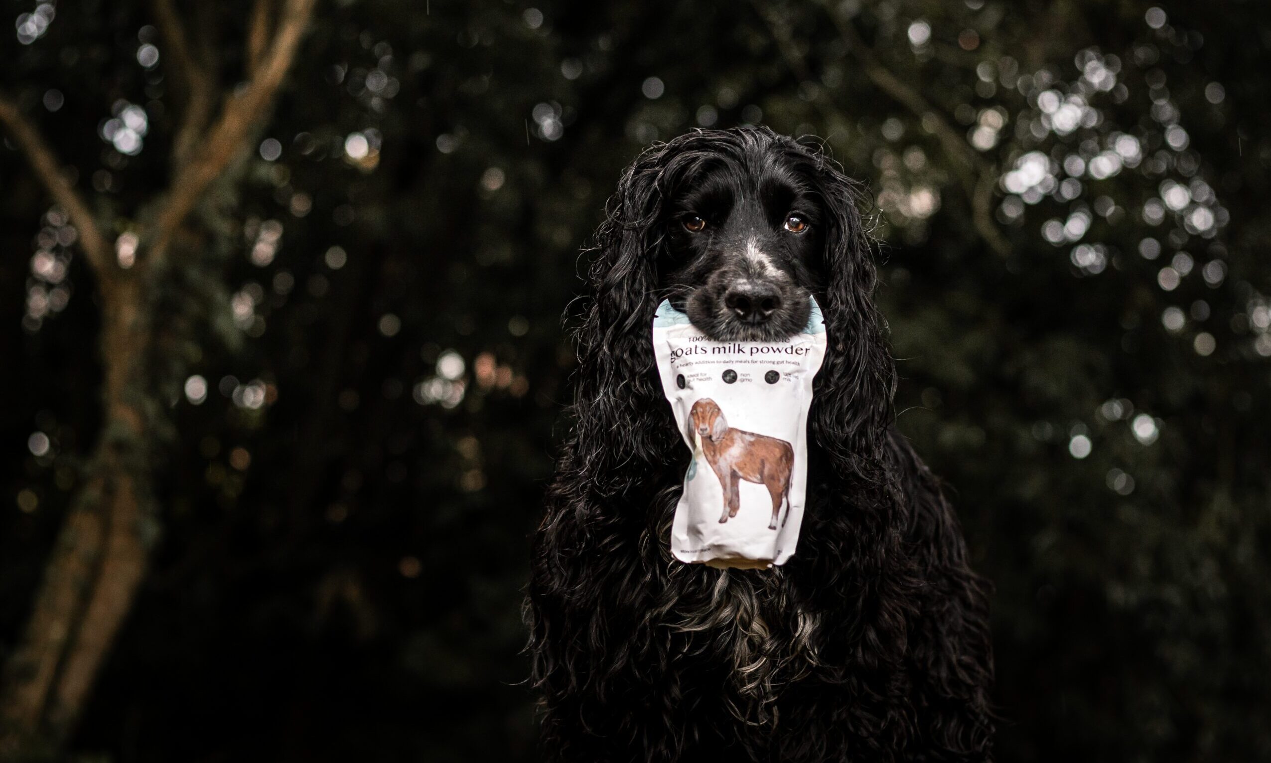 Fettle launches in the UK