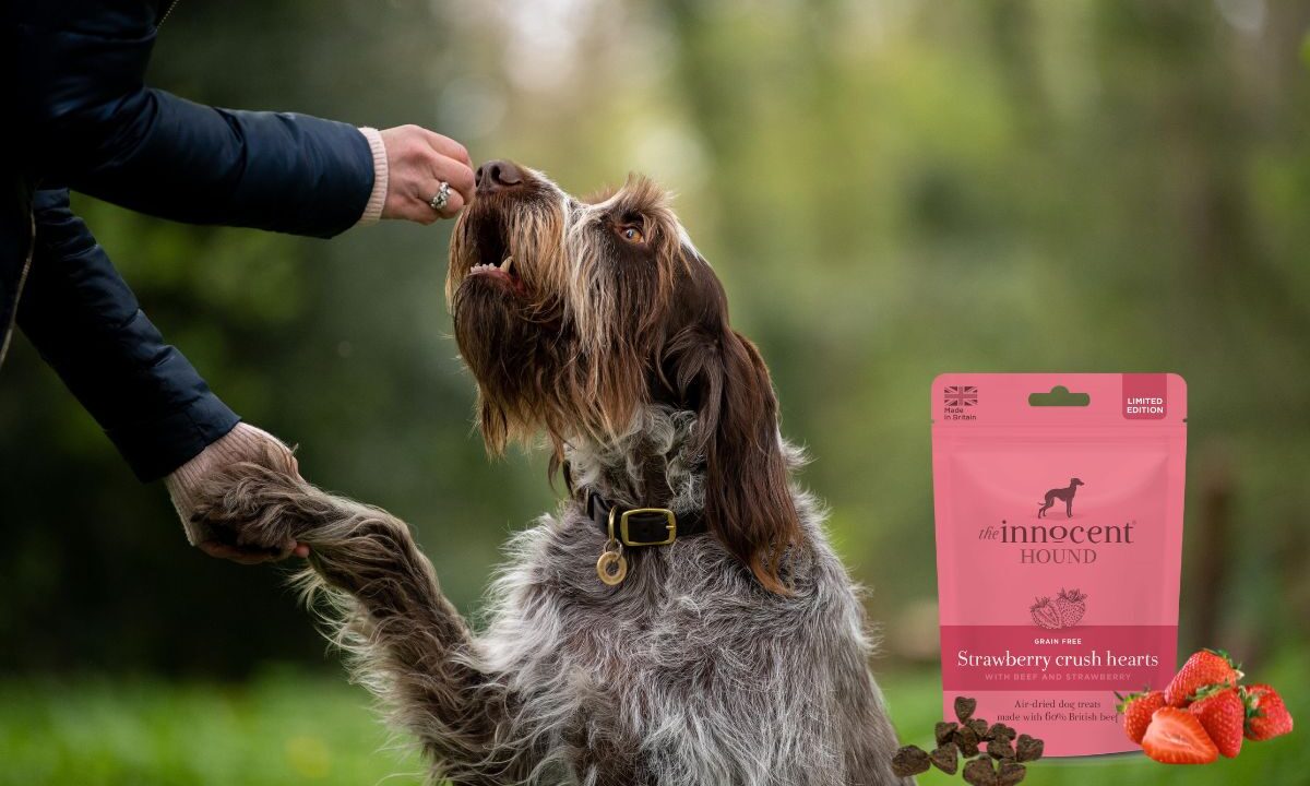 The Innocent Hound launches limited edition Valentines treat
