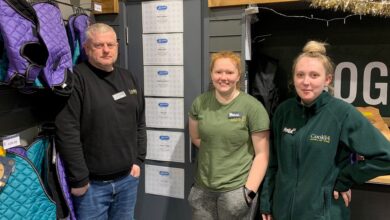 Johnson’s Veterinary Products launches flea and worming training