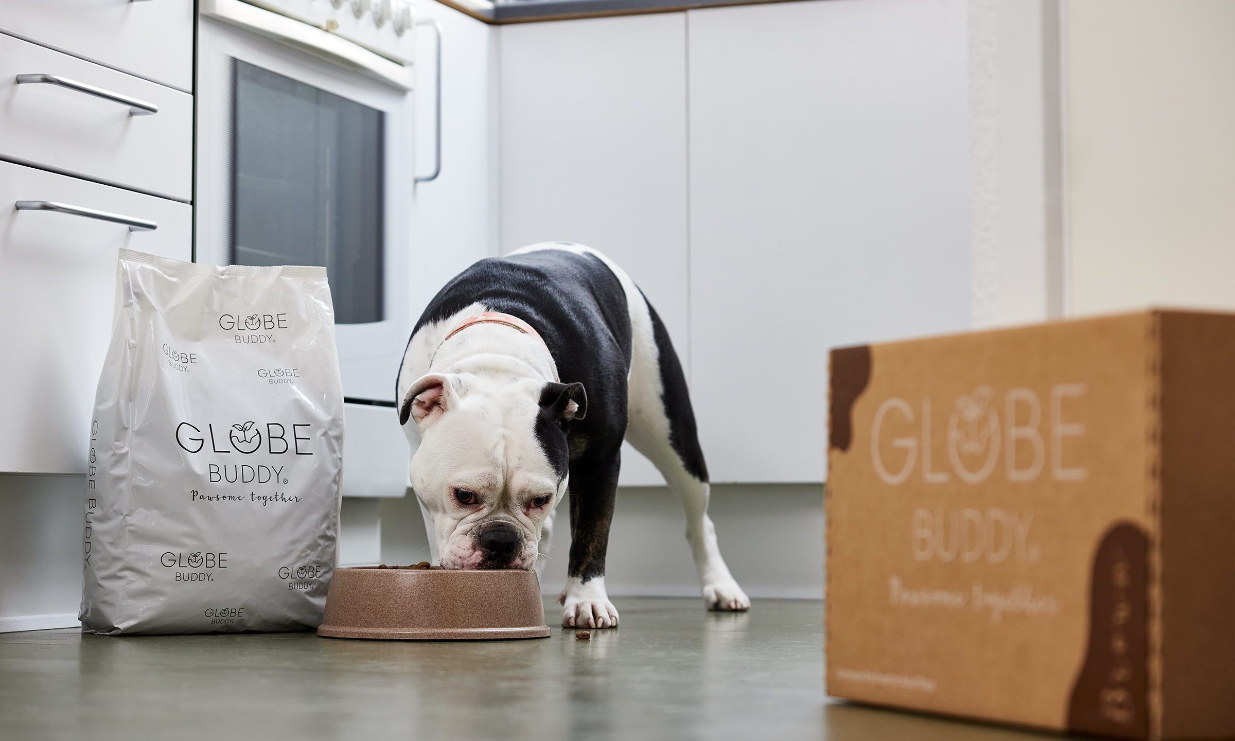 Globe Buddy introduces new sustainable dog food