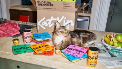 KatKin secures Active Partners as new investor