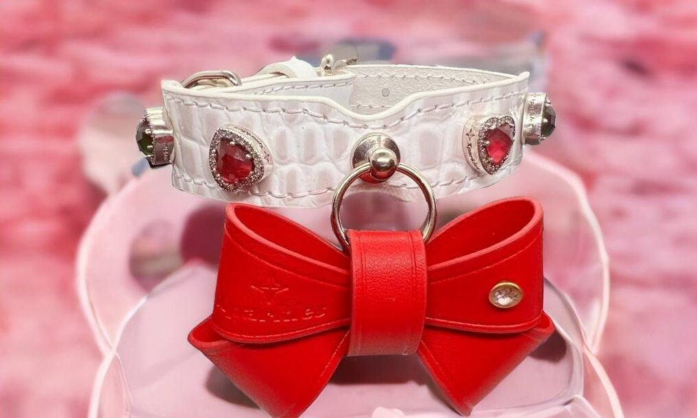 Xparkles launches new Valentine’s Day designer collars