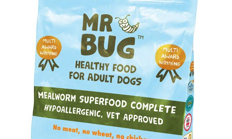 Mr Bug extends range with homegrown dog food