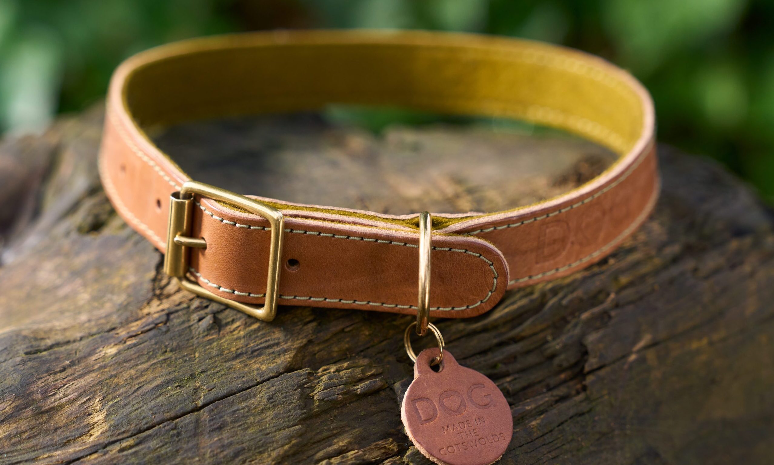 Dog launches new collections exclusively at Just for Pets