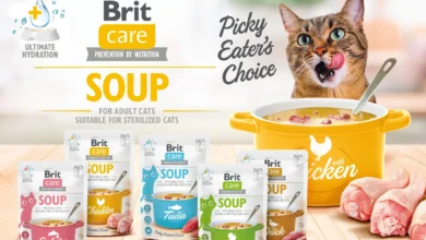 Vafo launches new Brit Care Cat Soups range