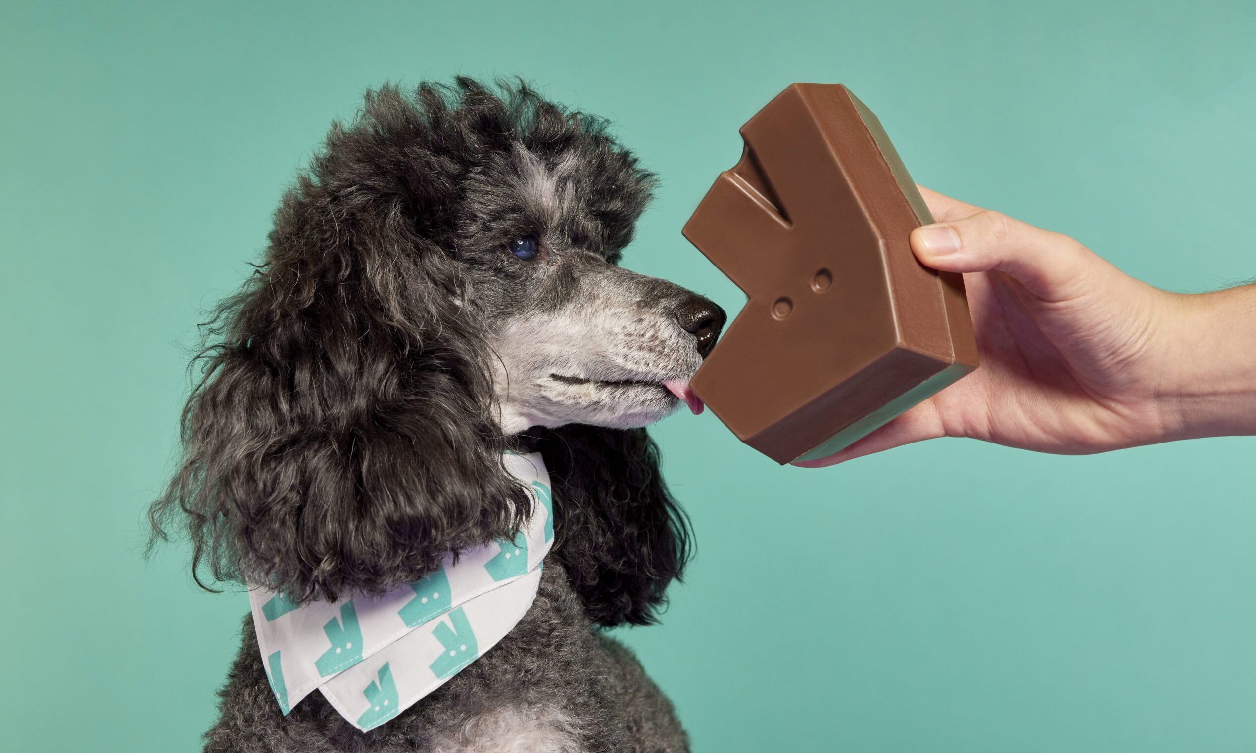 Deliveroo launches Deliver-Woof