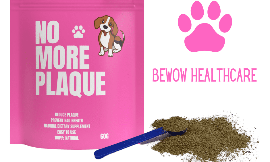 BeWow Healthcare and Donald Cooke launch No More Plaque