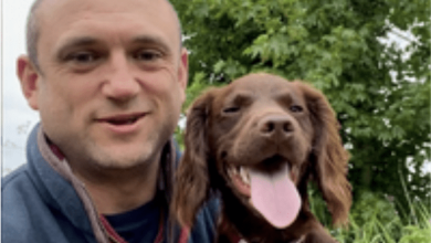 UK Pet Food appoints Rupert Phillips as new chairman