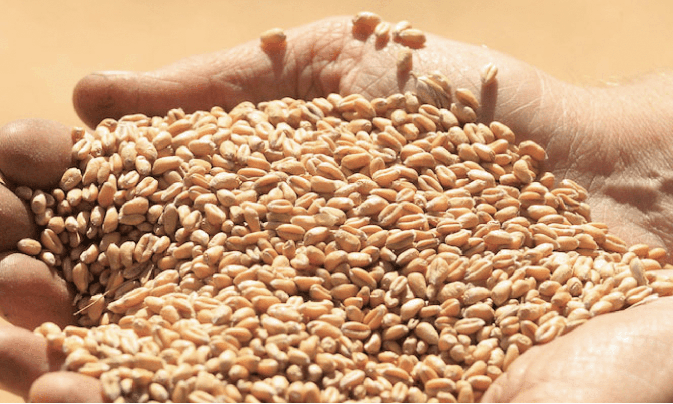 AIC joins GFLI to improve sustainability in the UK feed industry