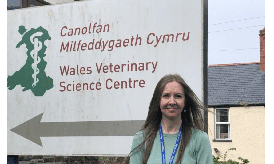Aberystwyth’s WVSC appoints new centre manager