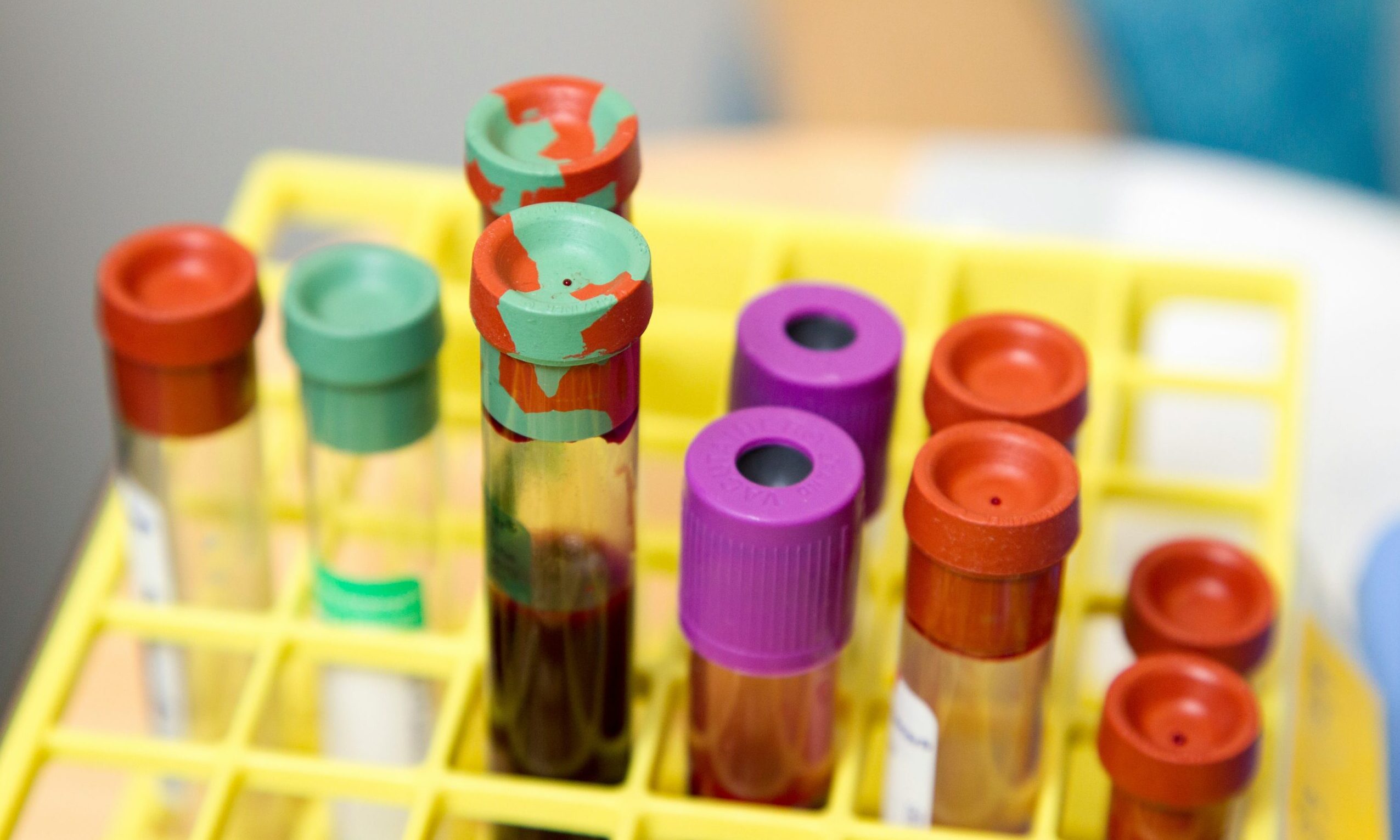 Pet Blood Bank UK announces price freeze on products