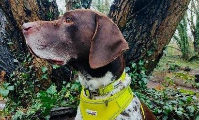 Doodlebone releases new collection