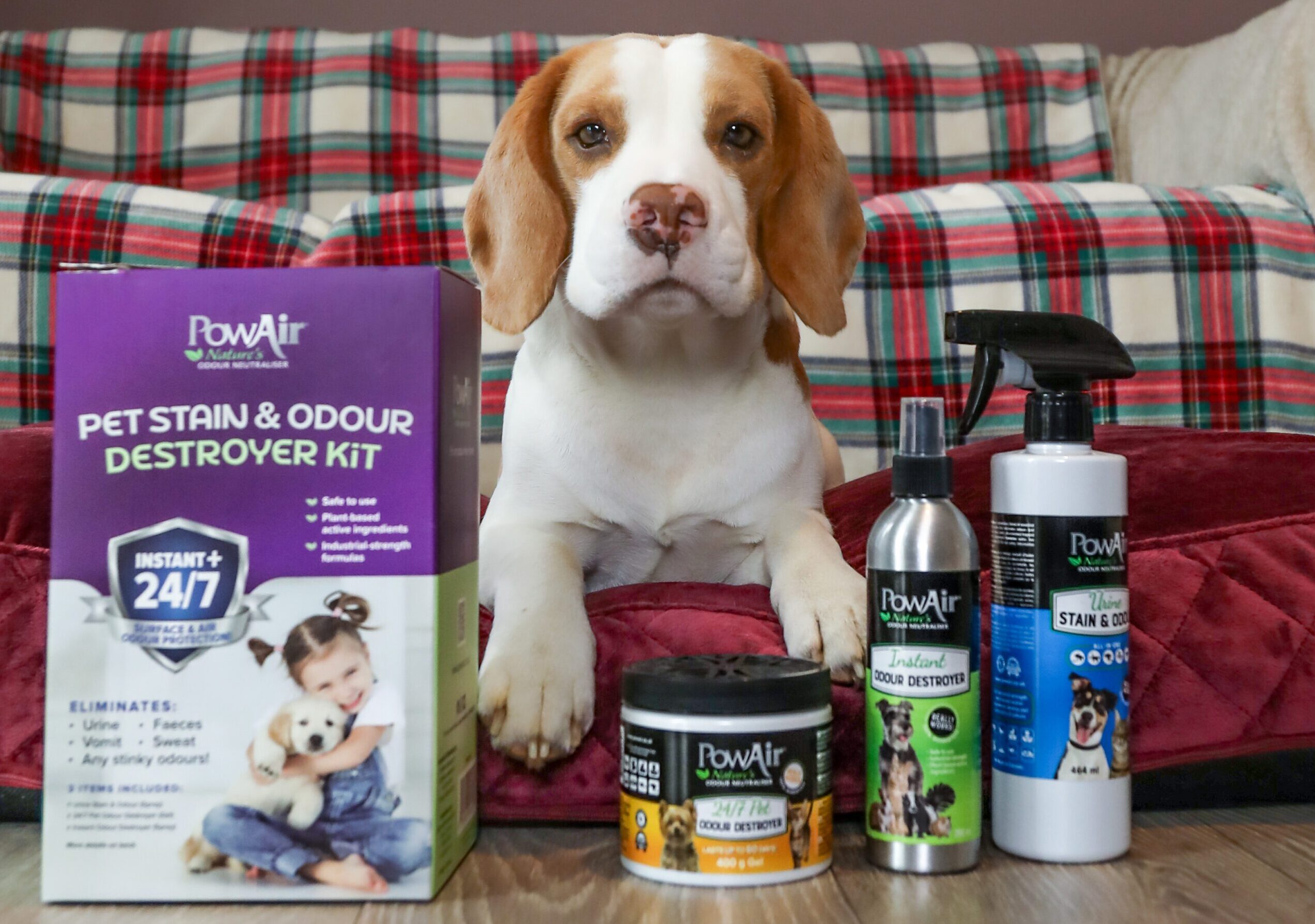 PowAir Pets’ new pet stain and odour destroyer kit now available online