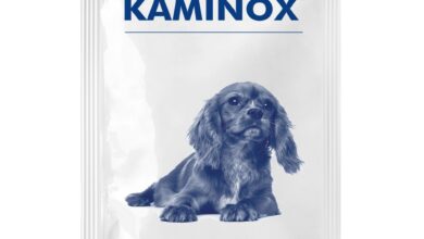 VetPlus launches Kaminox sachets