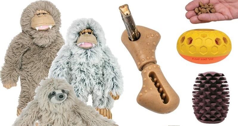 Kennelpak partners with 3TBrands to launch Tall Tails and Original Territory brands in the UK