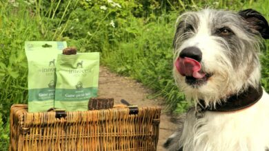 The Innocent Hound launches limited edition Game picnic bars