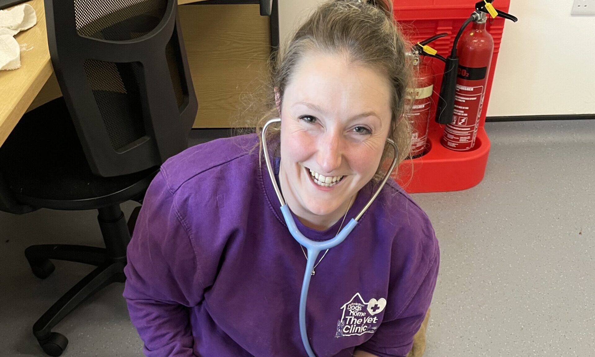 Birmingham Dogs Home appoints new head vet