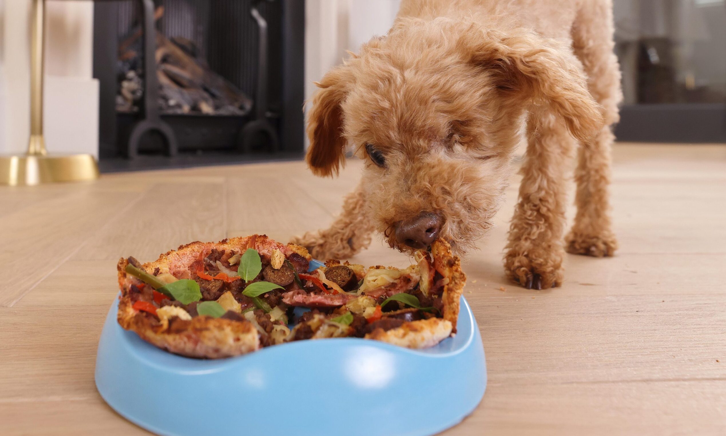 Ring launches new Treataway service for pets