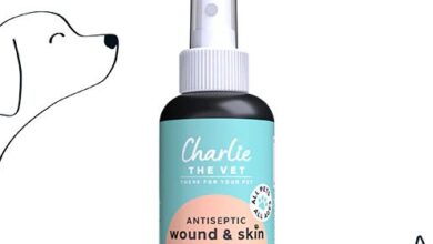 Charlie the Vet launches new wound and skin care spray