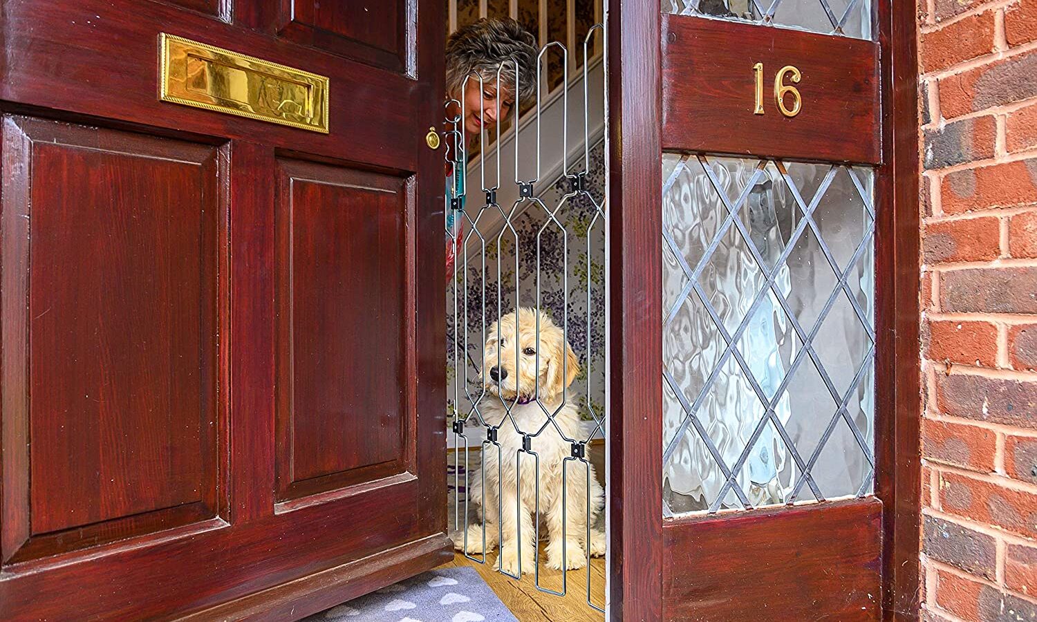 Dog G8 lends support to Royal Mail/ CWU’s Dog Awareness Week