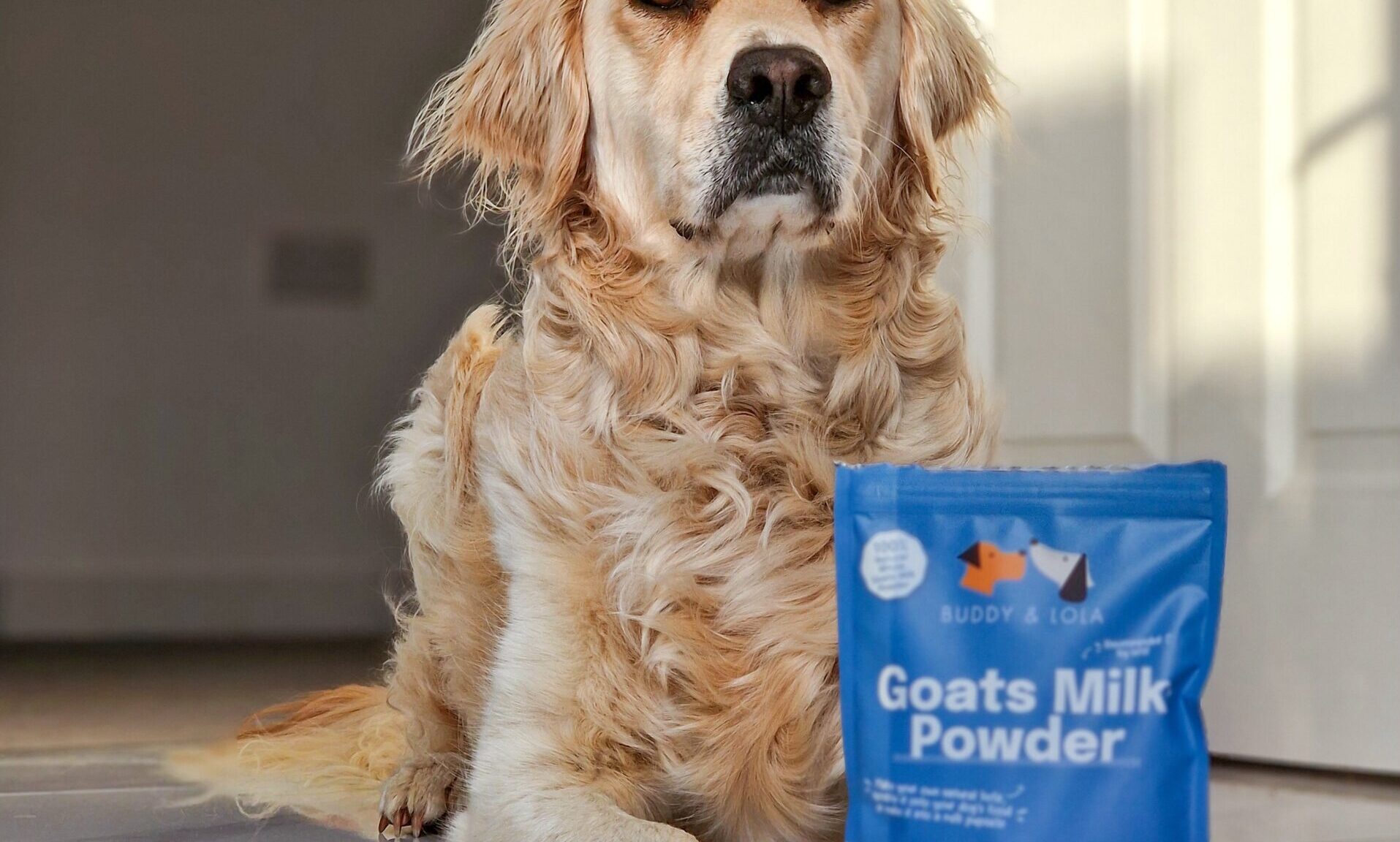 Buddy and Lola launches new Goats Milk Powder