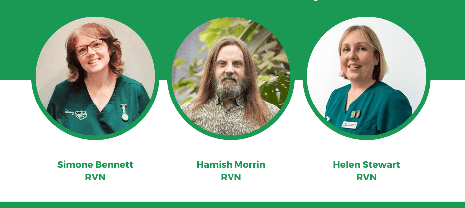 BVNA appoints new council members